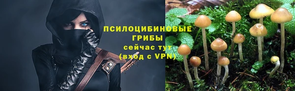 МДПВ Богданович