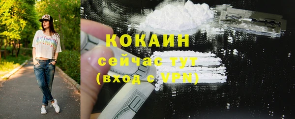стаф Верея